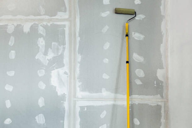 Best Mold Damage Restoration  in Midway City, CA