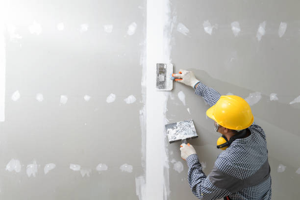 Best Water Damage & Mold Remediation  in Midway City, CA