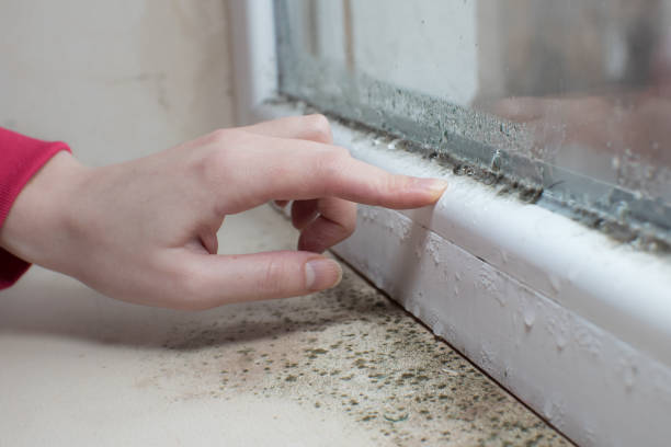 Mold Remediation for Vacation Homes in Midway City, CA