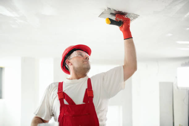 Trusted Midway City, CA Mold Removal Experts